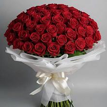 Букет 101 Красная роза Блэк Мэджик в Новом-Осколе
