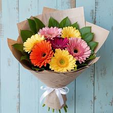 Букет цветов из:  Герберы в Новом-Осколе