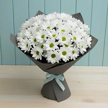Букет цветов из:  Хризантемы #REPLACE_PRED# Новом-Осколе