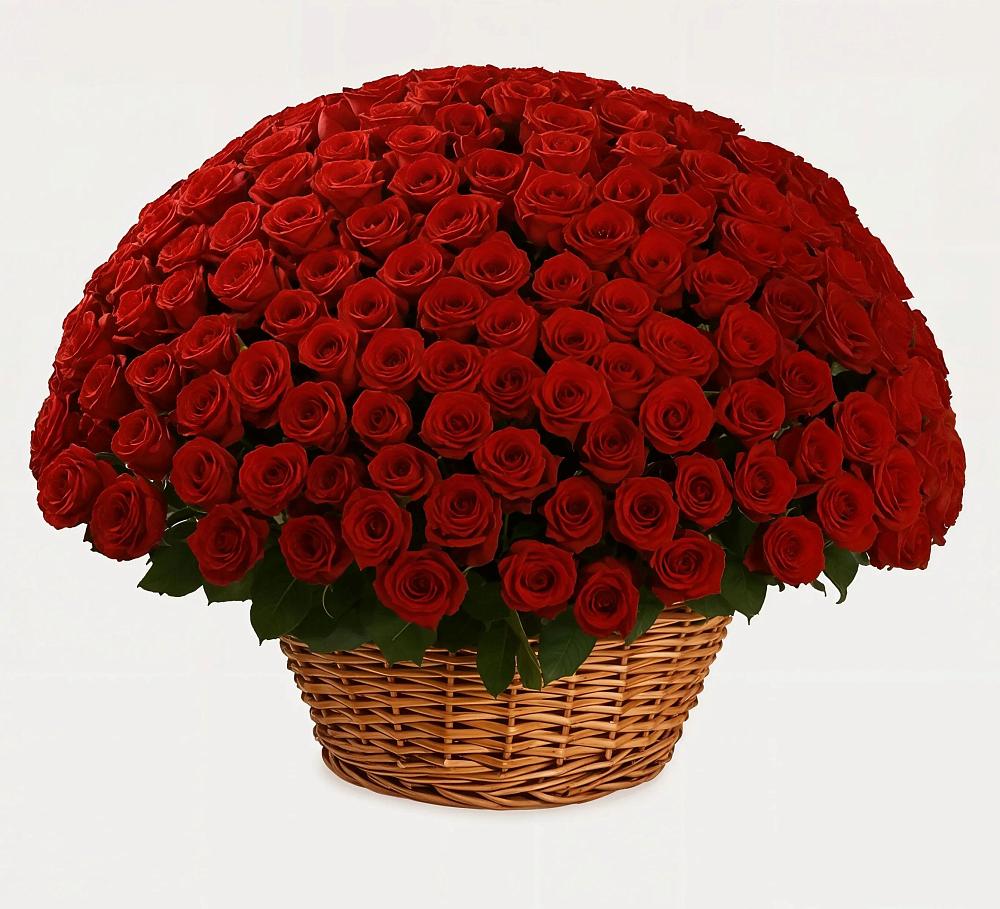 Премиум букет из: Розы в Новом-Осколе