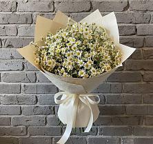 Букет цветов из:  Ромашки #REPLACE_PRED# Новом-Осколе