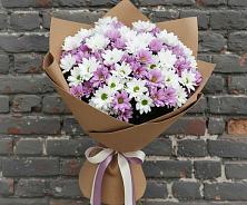 Букет цветов из:  Хризантемы #REPLACE_PRED# Новом-Осколе