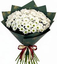 Букет цветов из:  Хризантемы #REPLACE_PRED# Новом-Осколе