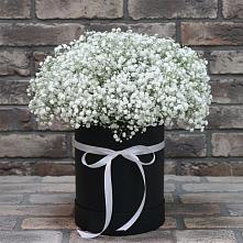 Цветочная композиция из Гипсофила в шляпной коробке в Новом-Осколе