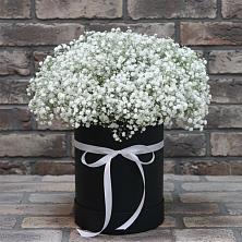 Цветочная композиция из Гипсофила в шляпной коробке в Новом-Осколе