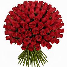 Букет Красные розы Чери Лав в Новом-Осколе