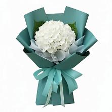 Букет цветов из:  Гортензия в Новом-Осколе